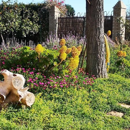Casa Los Jinetes Carmona  Dış mekan fotoğraf