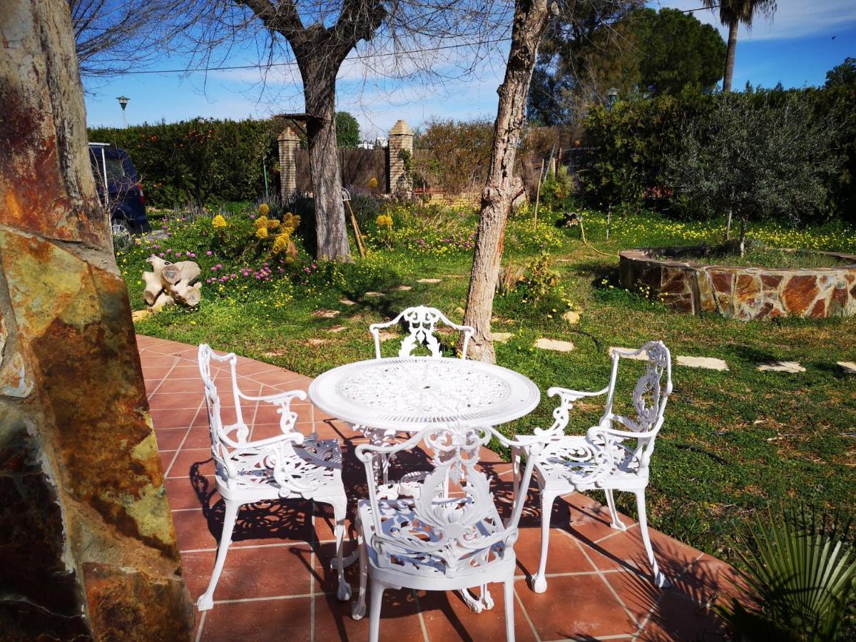 Casa Los Jinetes Carmona  Dış mekan fotoğraf