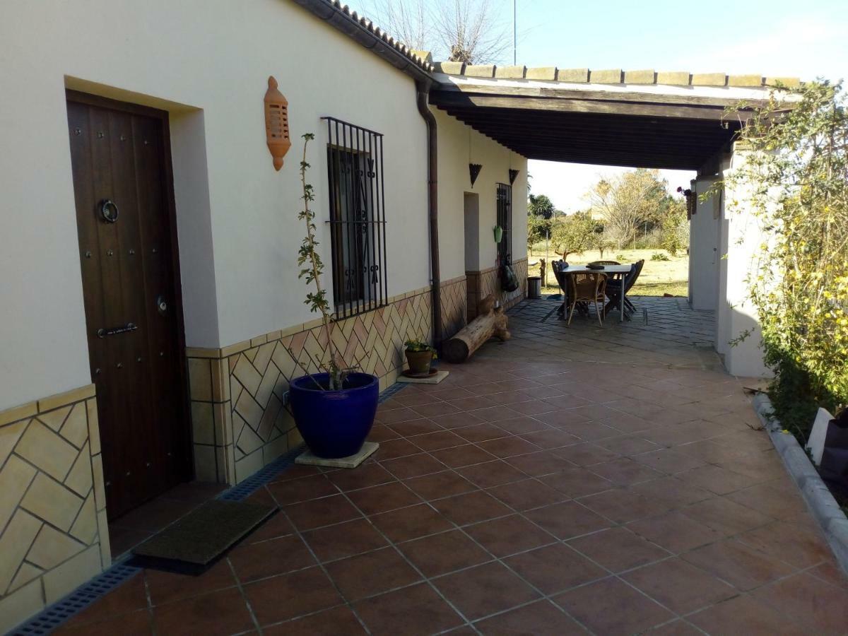 Casa Los Jinetes Carmona  Dış mekan fotoğraf